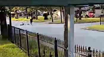 Video shows 80-year-old Houston woman thrown to ground in violent purse snatching