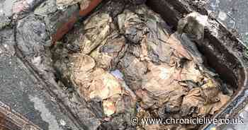 Worst culprits for blocking drains last year in the North East revealed