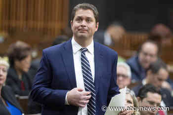 New poll suggests Tories know what they want in a new leader but not whom to pick