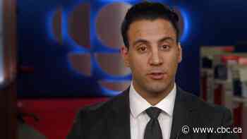 Iranian-Canadian reflects on air crash tragedy affecting his community