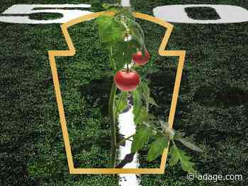 Heinz Super Bowl commercial will introduce new mashup condiment