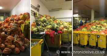 Human body parts to be removed more than year after being left to rot at abandoned Benton warehouse