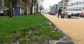 New grass lawns in The Kingsway are already being churned up and ruined