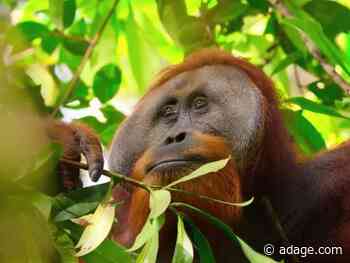 Netflix won't air a commercial in Super Bowl LIV