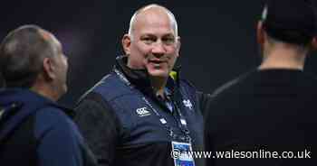 Mike Ruddock outlines his Ospreys blueprint to turn around beleaguered Welsh region