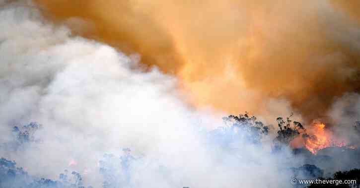 $32M Australia wildfires fundraiser sets Facebook record