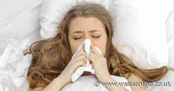 What is Australian flu H3N2, how do you know if you've got it, and how is it treated?