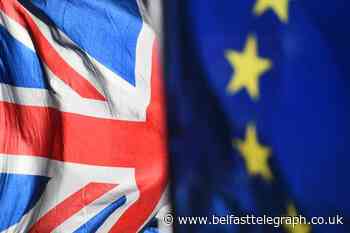 Northern Ireland parties Brexit amendment defeated in Commons