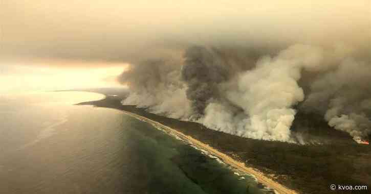 Firefighters from Arizona help battle Australian fires