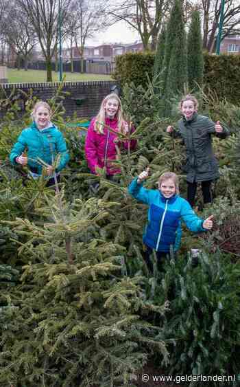 Marit en Rianne hebben half naaldbos aan afgedankte kerstbomen in hun achtertuin