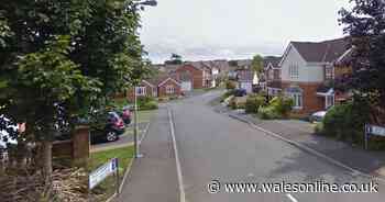 Man, 36, seriously injured after alleged assault at house in Broadlands, Bridgend