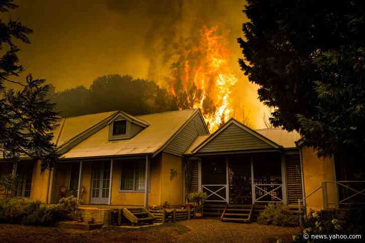 Koala Mittens and Baby Bottles: Saving Australia's Animals After Fires
