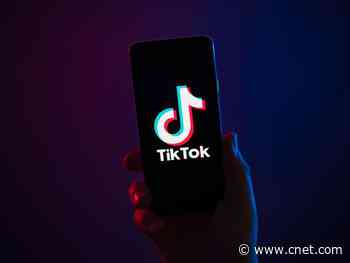 TikTok spells out rules against disinformation, 'delinquent behavior'     - CNET