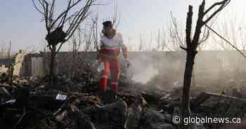 27 Edmontonians killed in Tehran plane crash that claimed 176 lives: community leaders