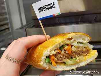 Impossible Pork FAQ: What the other white meat-substitute tastes like     - CNET