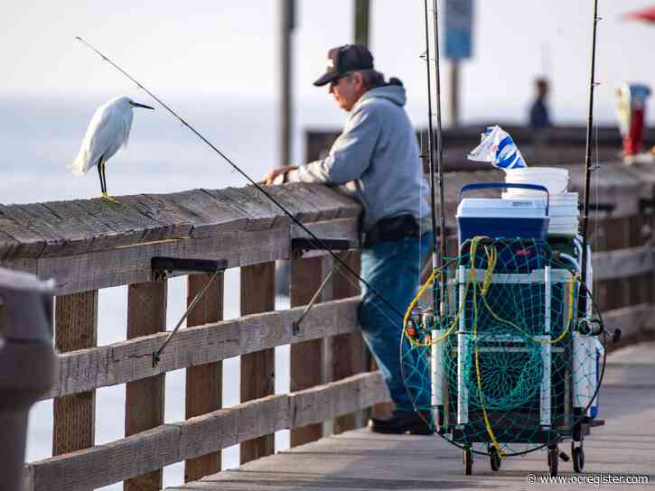 Newport Beach moves ahead with plans to install containers for used fishing line at Balboa Pier
