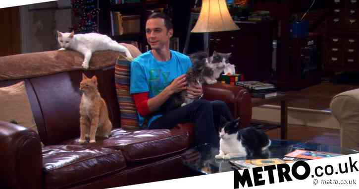 The Big Bang Theory: Sheldon’s hypocrisy to Leonard exposed by fan in asthma plot hole