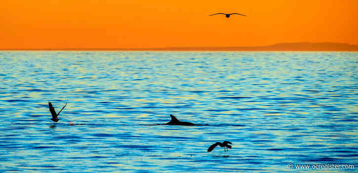 10 Crystal Cove photos that will make you want to move to the beach