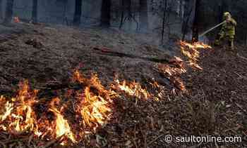 Canada will consider more aid for Australia as bushfires burn across country