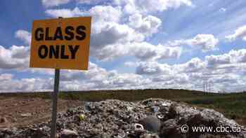 Saskatoon businesses may need to separate recycling, organics from garbage in future