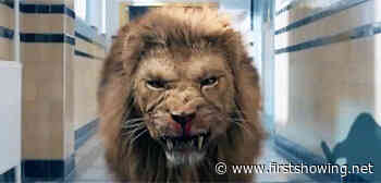 Wild New Trailer for Killer Lion in Amsterdam Horror Film 'Uncaged'