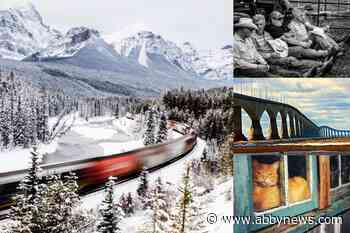 The winners of London Drugs’ 2019 Amateur Photographer of the Year contest are…