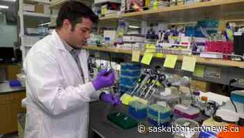 'We need to know our enemy': Saskatoon researchers make discoveries in clubroot disease
