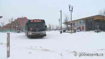 Edmonton Transit fare changes take effect in February