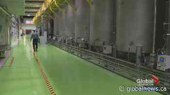 Edmonton health matters: Local company seeing sweet success around the world