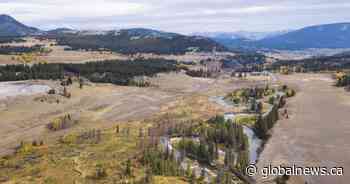 Canadian Pacific gives $500K to Alberta wildlife corridor named for late premier Jim Prentice