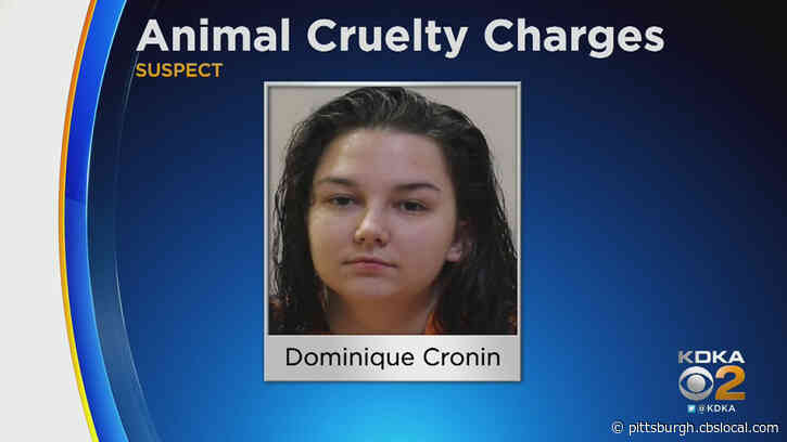 Police: 2 Cats And Dog Starve To Death After 22-Year-Old Woman Leaves Them Behind During Move
