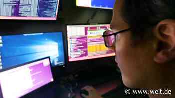 So viel Gehalt ist in Werkstudentenjobs drin