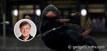 Fantastic Beasts: A Natural History to Look at J.K. Rowling&rsquo;s Creatures, With Narrator Stephen Fry
