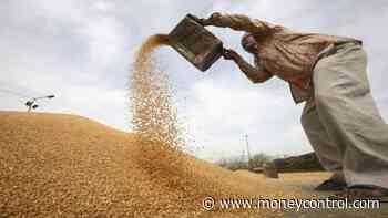Short March wheat futures at $561 for target of $498-476: Dharmesh Bhatia