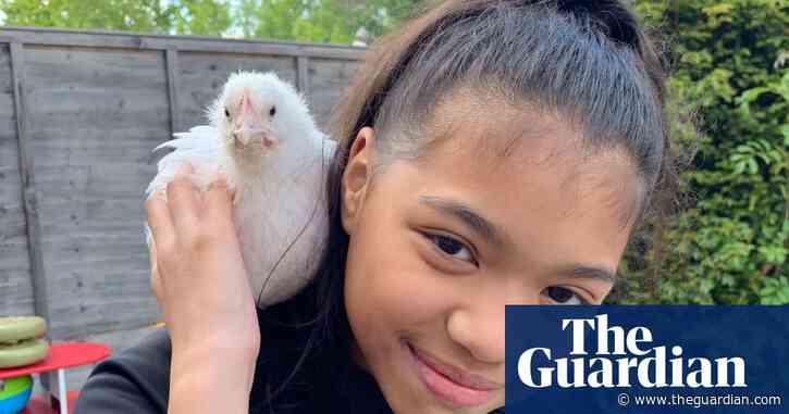 'A mouthful of pet': TV doesn’t get creepier than Meat the Family
