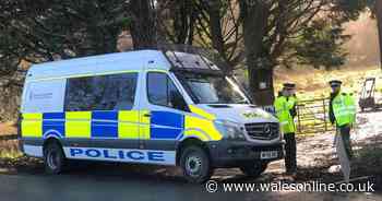 Man arrested in murder probe after caravan fire