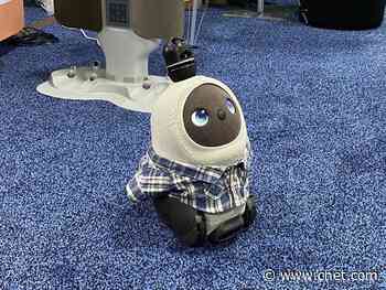 The coolest (and weirdest) robots we've seen at CES 2020 so far     - CNET