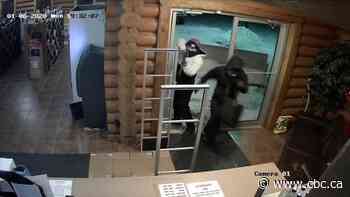 RCMP seek suspects from armed robbery north of Prince Albert