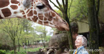 ‘The Woman Who Loves Giraffes’ Review: Crackers for Animals