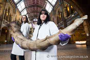 Fantastic Beasts to invade Natural History Museum