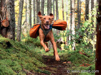 Work better, do more in 2020: Get healthy so you can fire on all cylinders