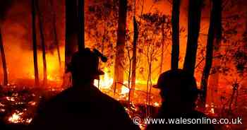 Warning over donating to Australian bushfire relief 'charities'