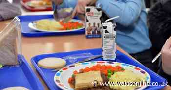 Parents disgusted at 'rude' primary school headteacher for sending text about school dinner money debts