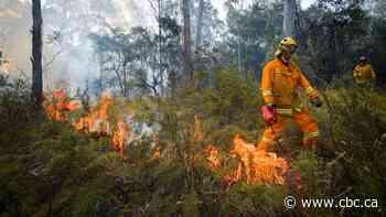 Canada offers more aid for Australia as bushfires burn