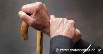 Day service to close in Neath with specialist centre opening in Port Talbot