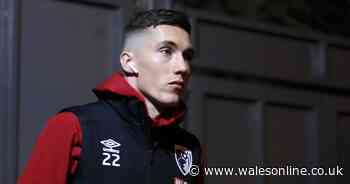 The truth behind the rumours linking Liverpool's Harry Wilson with Leicester City as Brendan Rodgers makes admission
