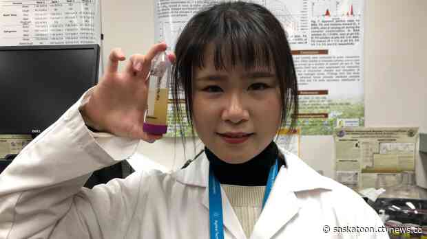 U of S researcher 'proud' to be involved in project to develop vegan egg alternative