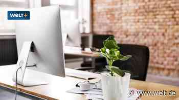 So muss Ihr Schreibtisch aussehen, damit Sie besser arbeiten