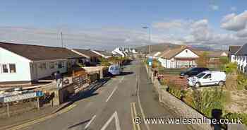 Pensioner who died in alleged Christmas Day murder was stabbed in the neck