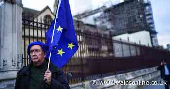 How your MP voted as Boris Johnson's Brexit deal takes huge step forward